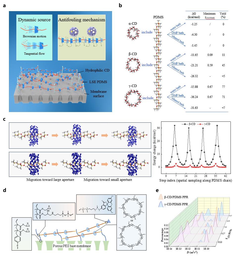 超分子結(jié)構(gòu)與動(dòng)態(tài)性模擬、表征